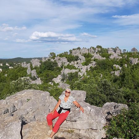 Logis Des Magnans -Les Terrasses Du Coutach - Bed & Breakfast Sauve Luaran gambar