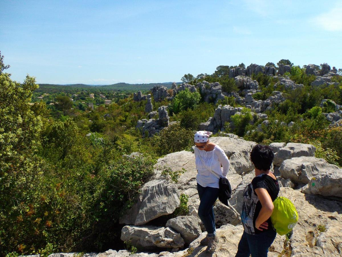 Logis Des Magnans -Les Terrasses Du Coutach - Bed & Breakfast Sauve Luaran gambar