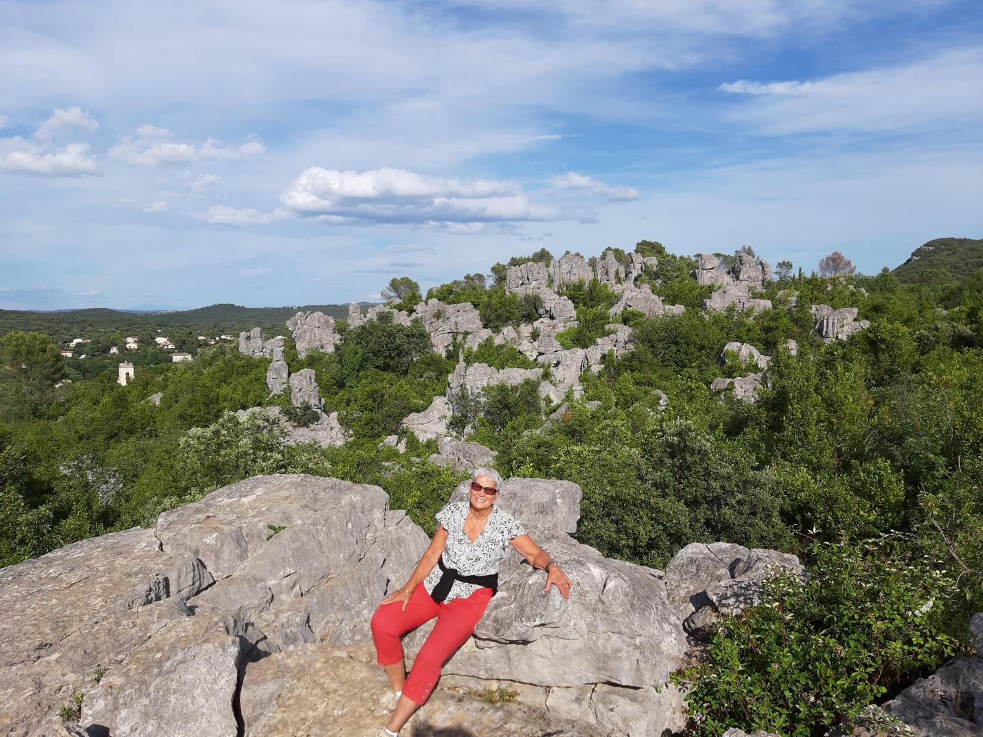 Logis Des Magnans -Les Terrasses Du Coutach - Bed & Breakfast Sauve Luaran gambar